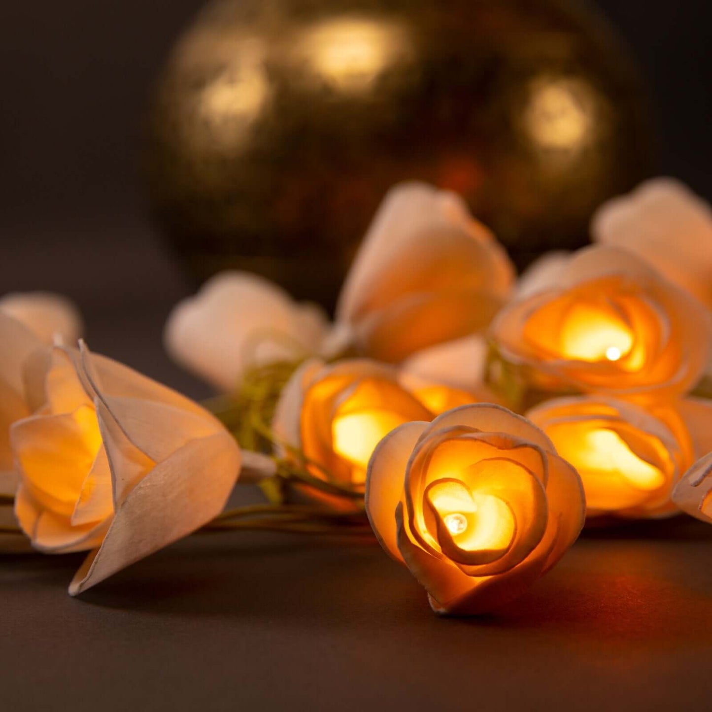 Shola Lights - Delicate and Elegant Floral Designs, Perfect for Interior Decoration