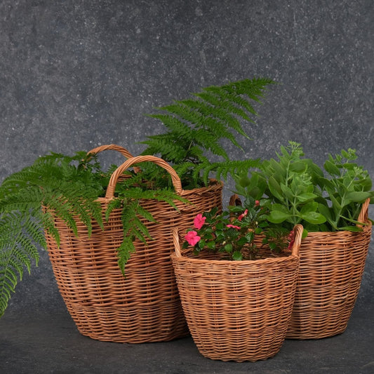 Small handcrafted wicker indoor planter from Kashmir, showcasing traditional craftsmanship and perfect for small indoor plants